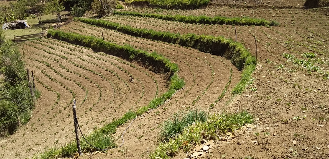 Farm topography